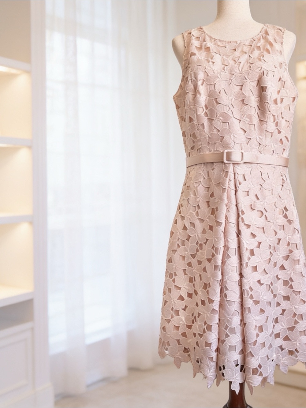 Eliza J Blush Pink Sleeveless Floral Embroidered Lace Appliqué Fit & Flare Dress